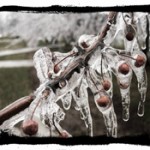 Nice image appropriated from Bob Dickinson's website