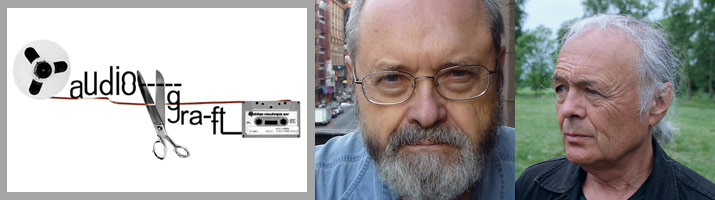 Audiograft 2013